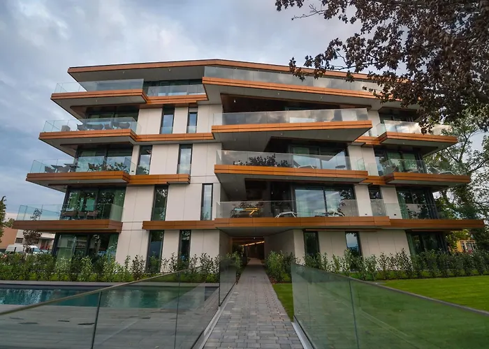 Bj81 シオーフォク